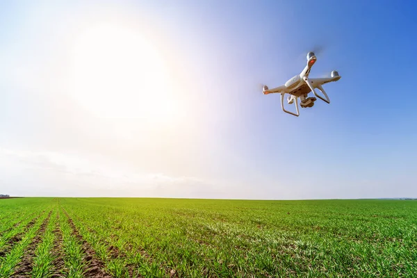 Czterokołowiec Drona Polu Zielonej Kukurydzy — Zdjęcie stockowe