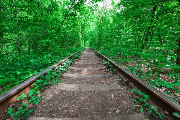 Ferrocarril Túnel Del Bosque Primavera Del Amor — Foto de Stock