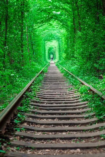 Uma Ferrovia Túnel Amor Floresta Primavera — Fotografia de Stock
