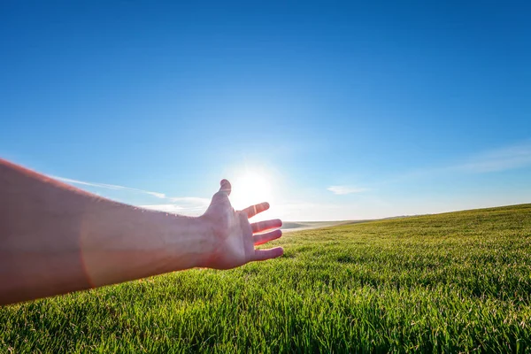 Zeigt Eine Männliche Hand Auf Dem Feld — Stockfoto