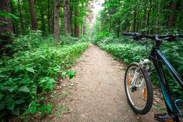 Mountainbiken Heuvelafwaarts Dalen Snel Fiets Zicht Van Motorrijders Ogen — Stockfoto