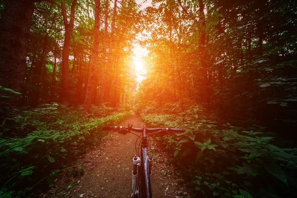 Mountain biking down hill descending fast on bicycle. View from bikers eyes.