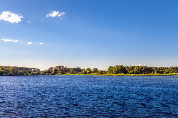 Picturesque forest and the river