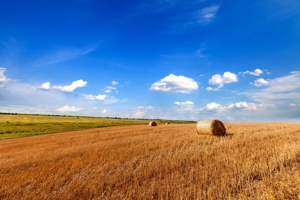 Campo Trigo Después Cosecha Con Fardos Paja Atardecer —  Fotos de Stock