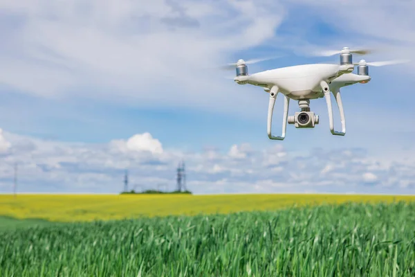 Czterokołowiec drona na polu zielonej kukurydzy — Zdjęcie stockowe