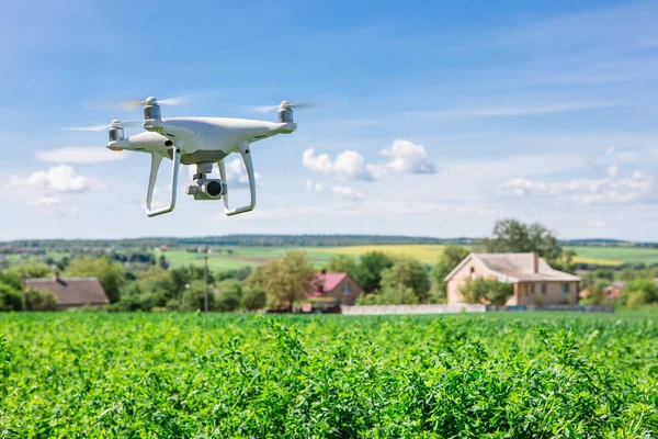 Copter drone quad sur champ de maïs vert — Photo