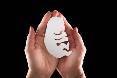 kadın el embriyo siluet