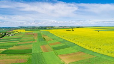 yeşil bir alana bir kamera ile robot.