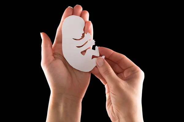 Embryo silhouette in woman hand — Stock Photo, Image