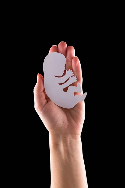 Embryo-Silhouette in Frauenhand — Stockfoto