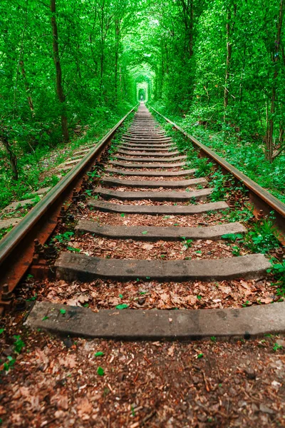 Una ferrovia nella foresta primaverile tunnel d'amore — Foto Stock