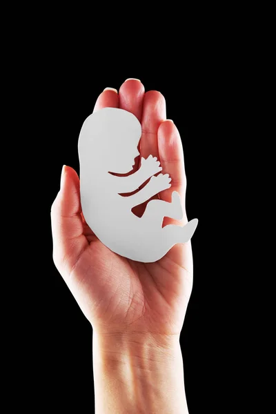 A nő kezében embrió sziluett — Stock Fotó