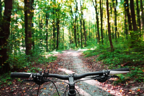 Ciclismo de montaña colina abajo descendiendo rápido en bicicleta. Vista desde —  Fotos de Stock