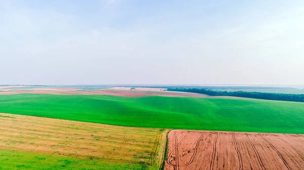 Drone con una cámara en un campo verde . — Foto de Stock