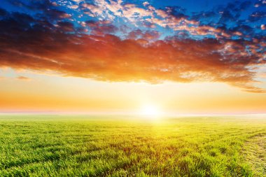 Yeşil Alan ve Güzel Gün Batımı