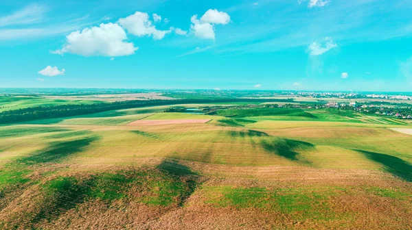 Drone with a camera on a green field. — Stock Photo, Image