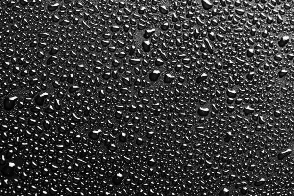 Gotas de agua macro sobre un fondo negro —  Fotos de Stock