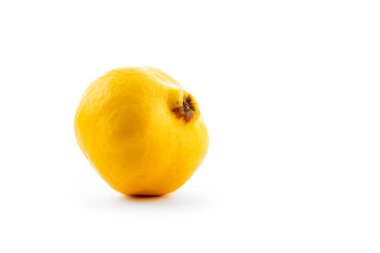 quince beyaz arkaplanda izole