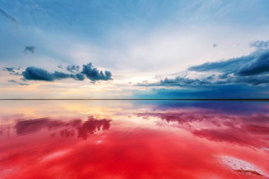 Pembe göl ve kumlu sahil manzaralı.