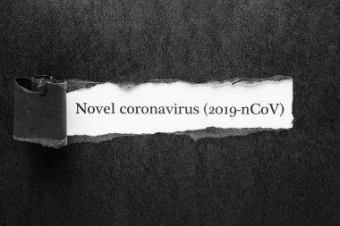 Çin romanı Coronavirus salgını
