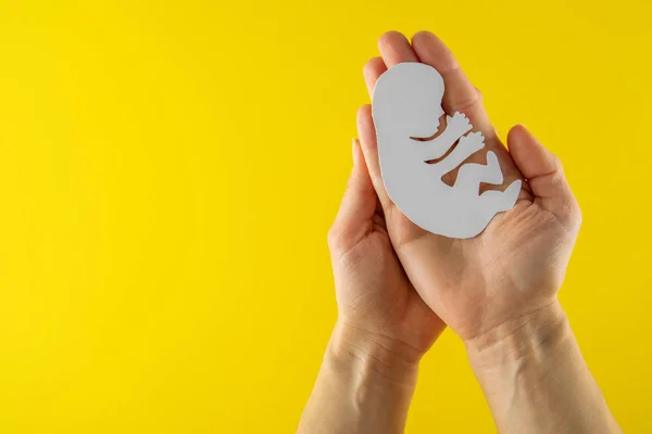 Weißes Papier Embryo Silhouette in Frauenhänden. — Stockfoto