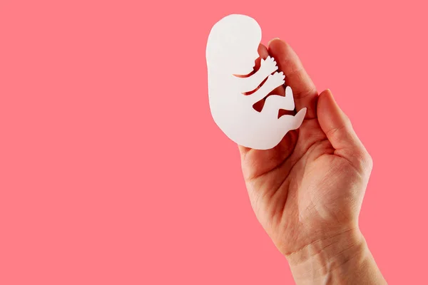 Embryo-Silhouette aus weißem Papier in Frauenhänden. Pastellrosa Backgr — Stockfoto