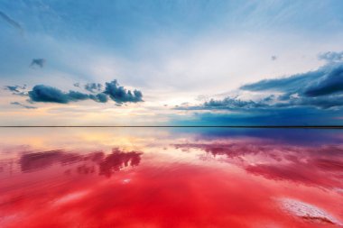 Pembe göl ve kumlu sahil manzaralı.