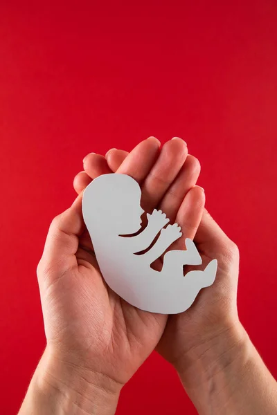 Weißes Papier Embryo Silhouette Frauenhänden — Stockfoto