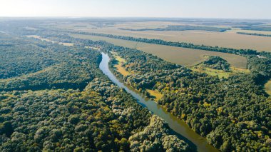 Kameralı bir dron, güzel bir yaz nehri yüksekten küçük bir nehir
