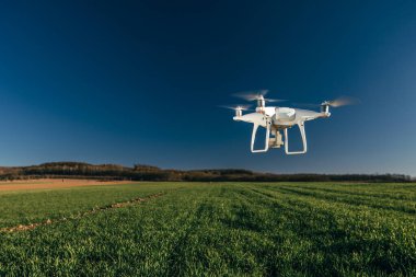 Dron kuad helikopteri yeşil mısır tarlasında