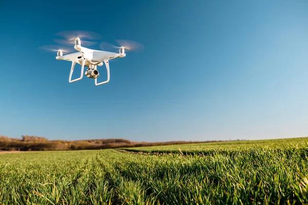 Czterokołowiec Drona Polu Zielonej Kukurydzy — Zdjęcie stockowe