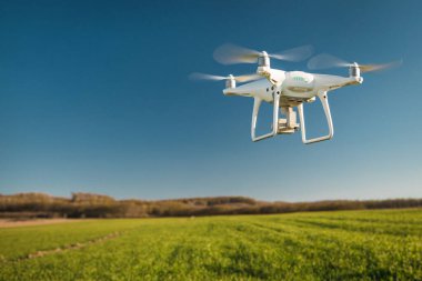 Dron kuad helikopteri yeşil mısır tarlasında