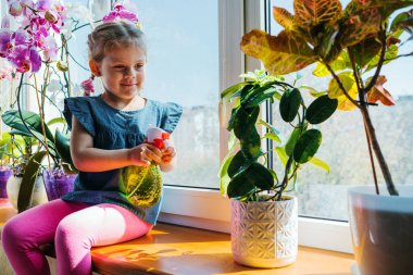 Kız, cam kenarındaki saksılarda sulu ağaçlara su püskürtür.