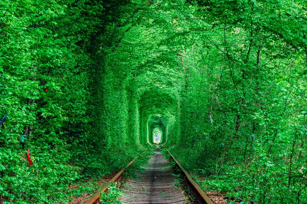 Uma Ferrovia Floresta Primavera Túnel Amor Árvores Verdes Ferrovia — Fotografia de Stock