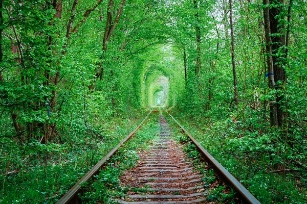 Een Spoorweg Het Voorjaarsbos Tunnel Van Liefde Groene Bomen Spoorweg — Stockfoto
