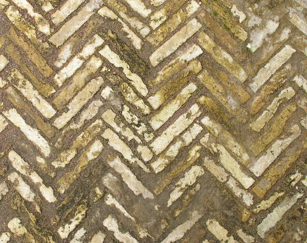 Ancient stone pavement — Stock Photo, Image