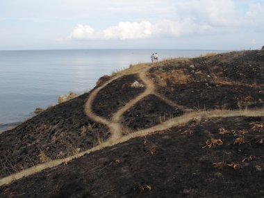 Kırım kıyı manzara 