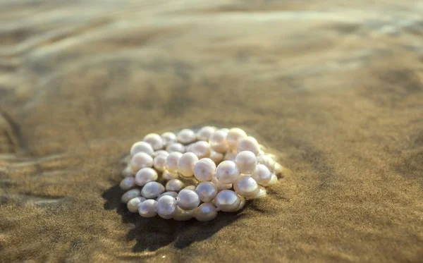 Pearl beads on the sea sand — Stock Photo, Image