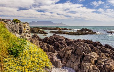 Table Mountain Cape Town panoramik manzaralı