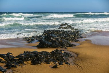 Güney Afrika'da Hint Okyanusu kıyısında güçlü sörf