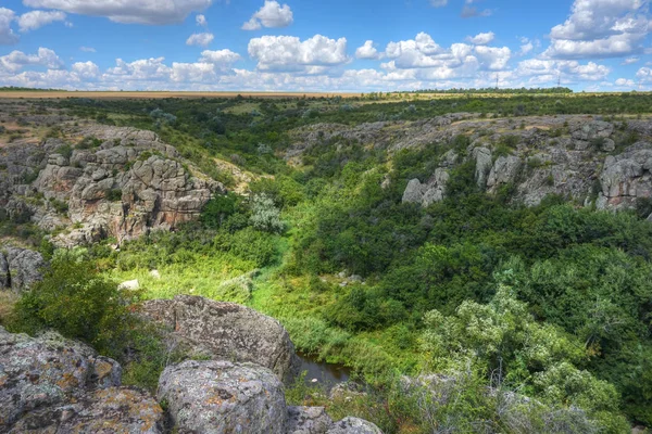 Летний пейзаж со скалами и деревьями — стоковое фото