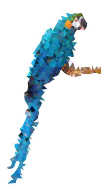 Renkli papağan. Vektör çokgen çizimi