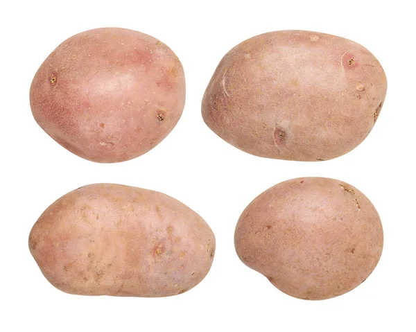 Batatas cruas frescas no fundo branco — Fotografia de Stock