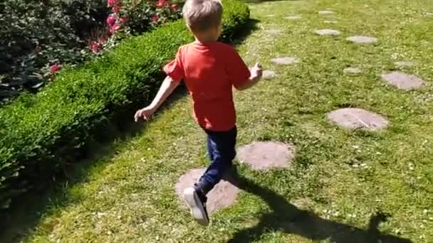 Niño de cámara lenta en jeans y una camiseta roja corre sobre la hierba verde . — Vídeos de Stock