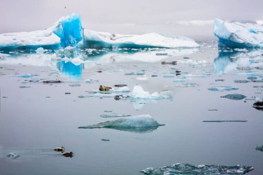 Jokulsarlon buzul göl Adası