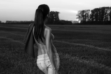 gün batımında buğday alanında güzel esmer Bayan