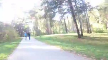 Novosibirsk - Eylül 25: sonbahar sokak Merkez Bölge Sibirya Botanik Bahçesi, Novosibirsk, Rusya yürüyorduk. Timelapse. 25 Eylül 2016 Novosibirsk Rusya'da