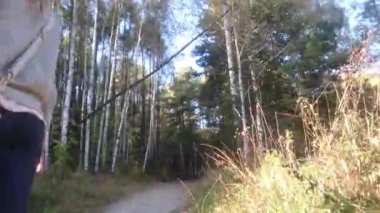 Novosibirsk - Eylül 25: sonbahar sokak Merkez Bölge Sibirya Botanik Bahçesi, Novosibirsk, Rusya yürüyorduk. Timelapse. 25 Eylül 2016 Novosibirsk Rusya'da