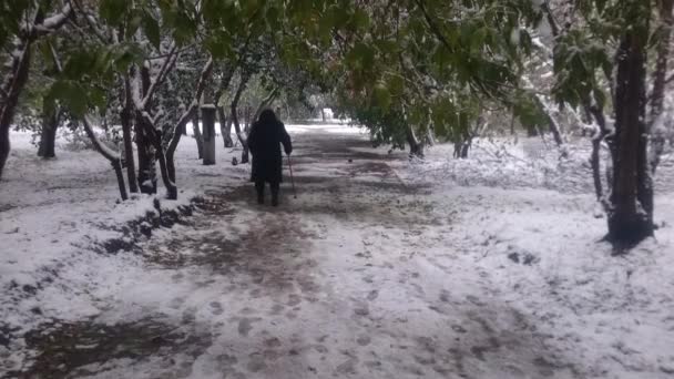 Πρώτο χιόνι σε μια πόλη στο φόντο φθινοπωρινά δέντρα και σπίτια — Αρχείο Βίντεο