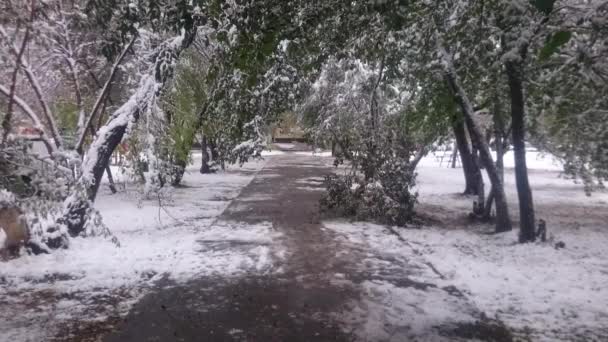 Eerste sneeuw in een stad op de achtergrond van de herfst bomen en huizen — Stockvideo